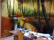 Murales de papel y vinilos